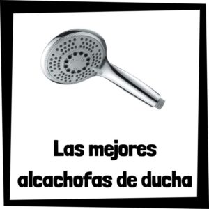 Las mejores alcachofas de ducha para el baño que comprar en internet - Alcachofa de ducha para el baño